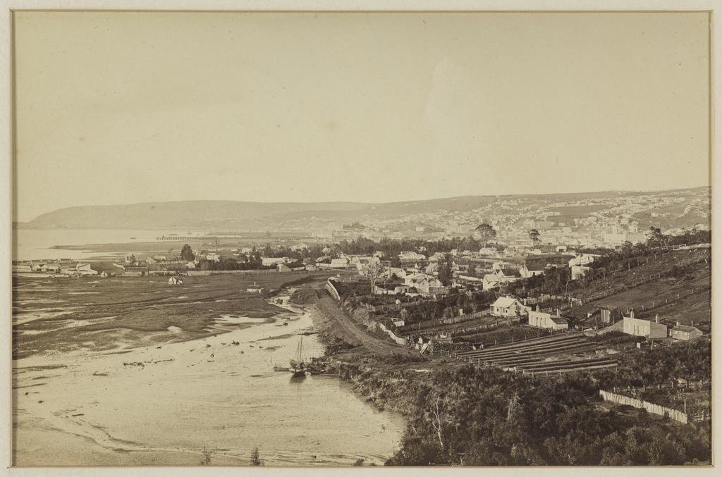 Dunedin from the vicinity of Pelichet Bay (now reclaimed land where Logan Park is located), c...