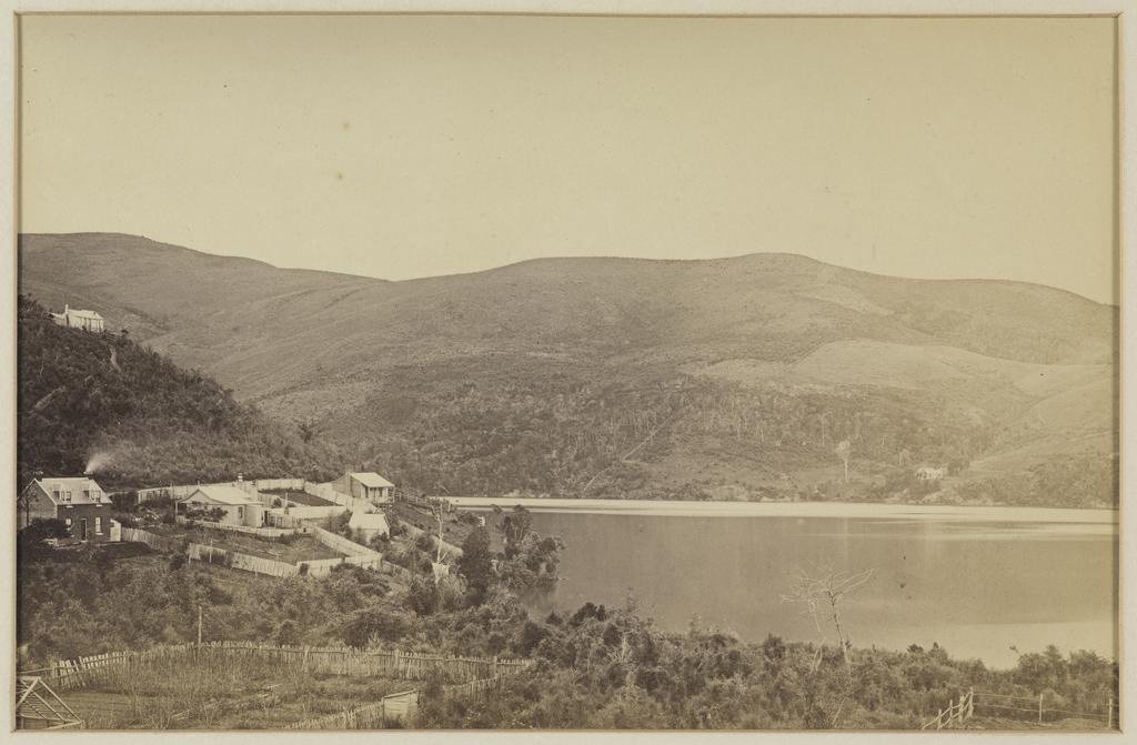 A view over Pelichet Bay from the city side, c.1868. Photo: Hocken Collections — Te Uare Taoka o...