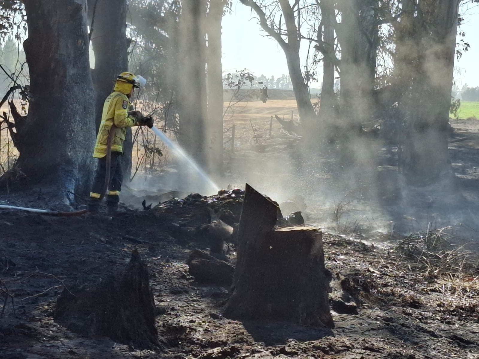 Photo: Canterbury Fire and Emergancy