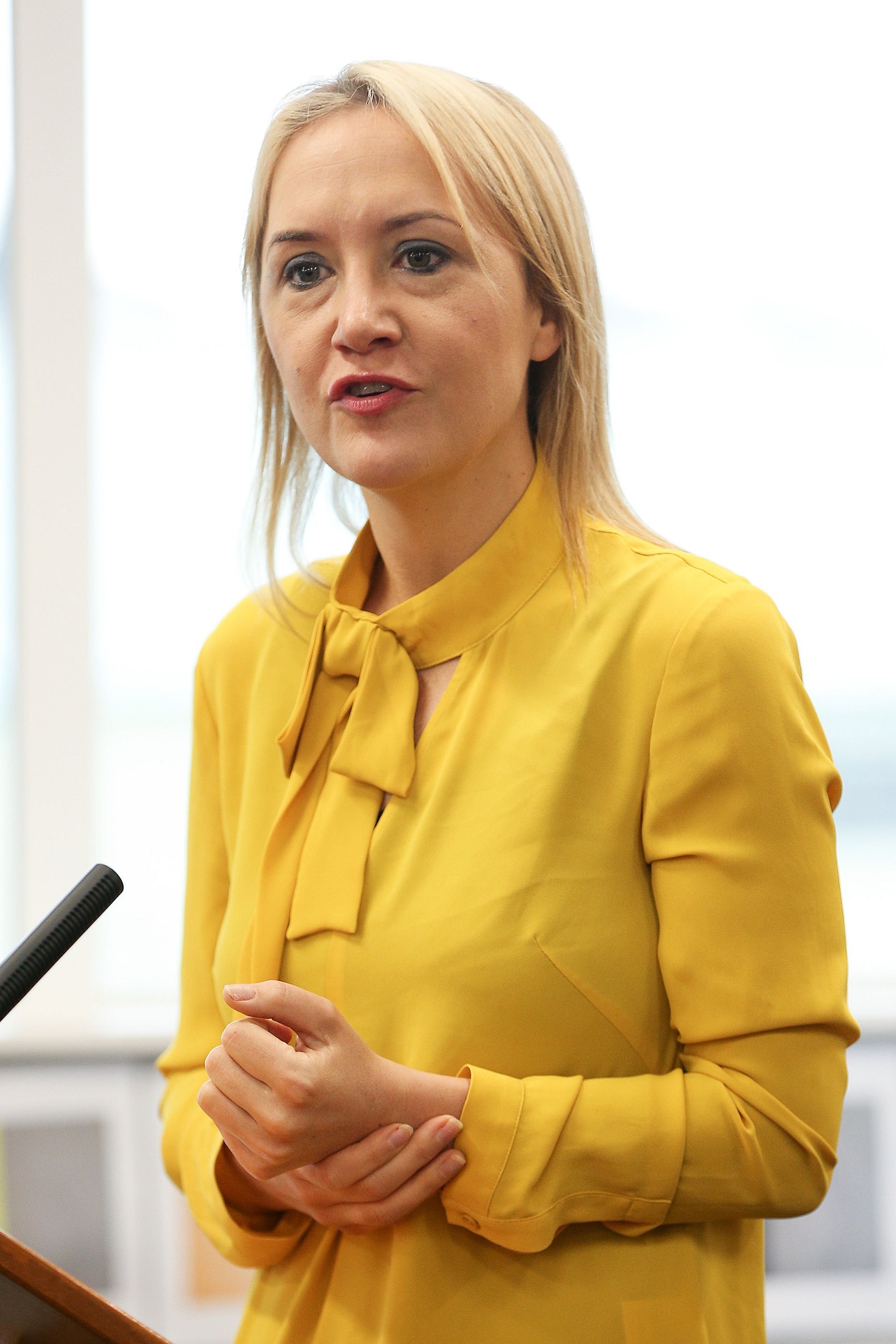 Then education minister Nikki Kaye speaking in 2017. Photo: Getty Images