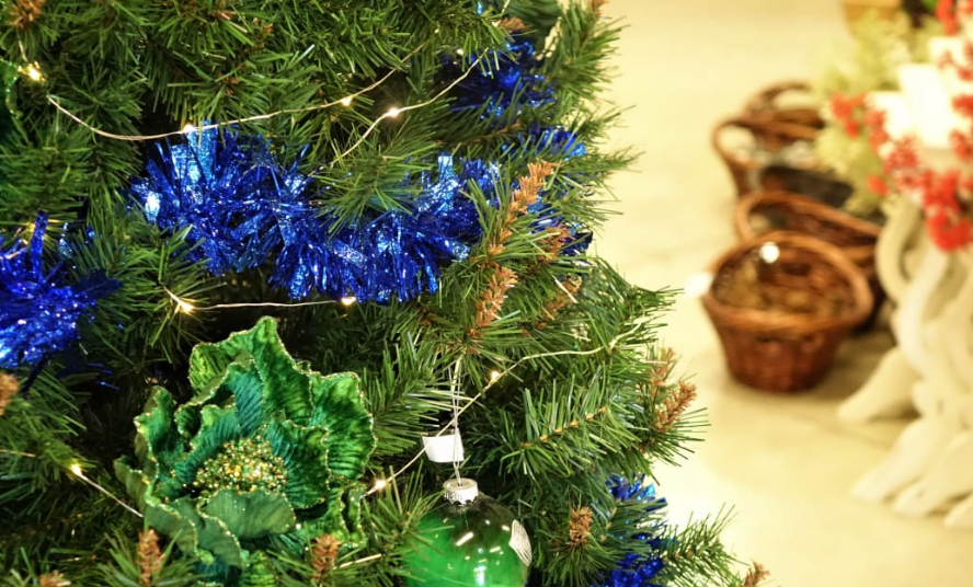 A Christmas tree could set you back $100 in the North Island this festive season. Photo: RNZ