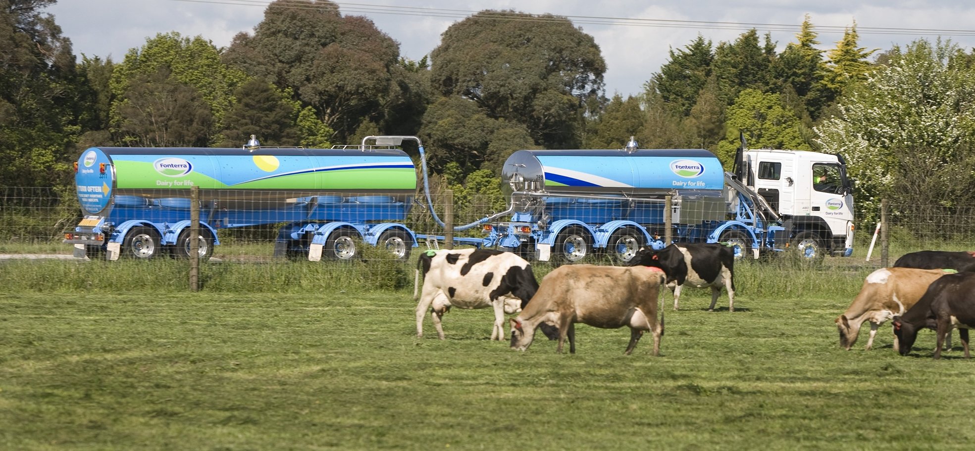 Fonterra’s forecasted milk price for a record $10/kg midpoint for the 2024/25 season has...