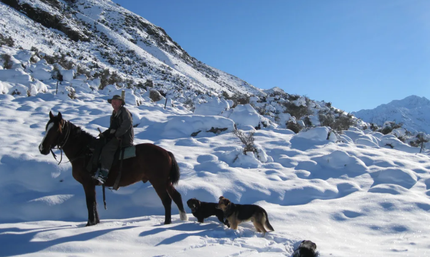 Colin Drummond was the Mid-Canterbury representative for the Federated Farmers High Country...