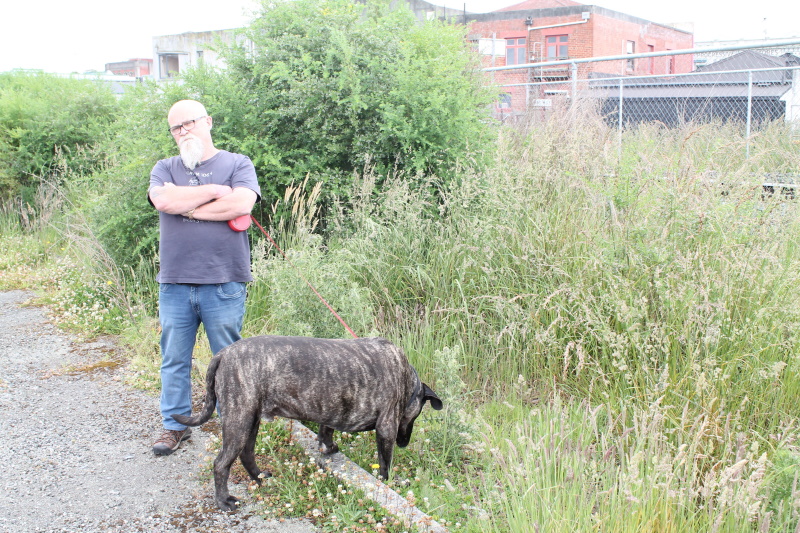 Overgrown ... Gore district councillor Rob McKenzie next to the overgrown foliage on the Mersey...