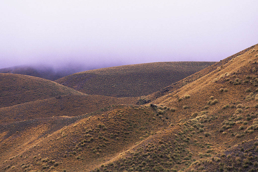 Central Otago and Upper Waitaki have entered their restricted fire seasons. Photo: Getty Images