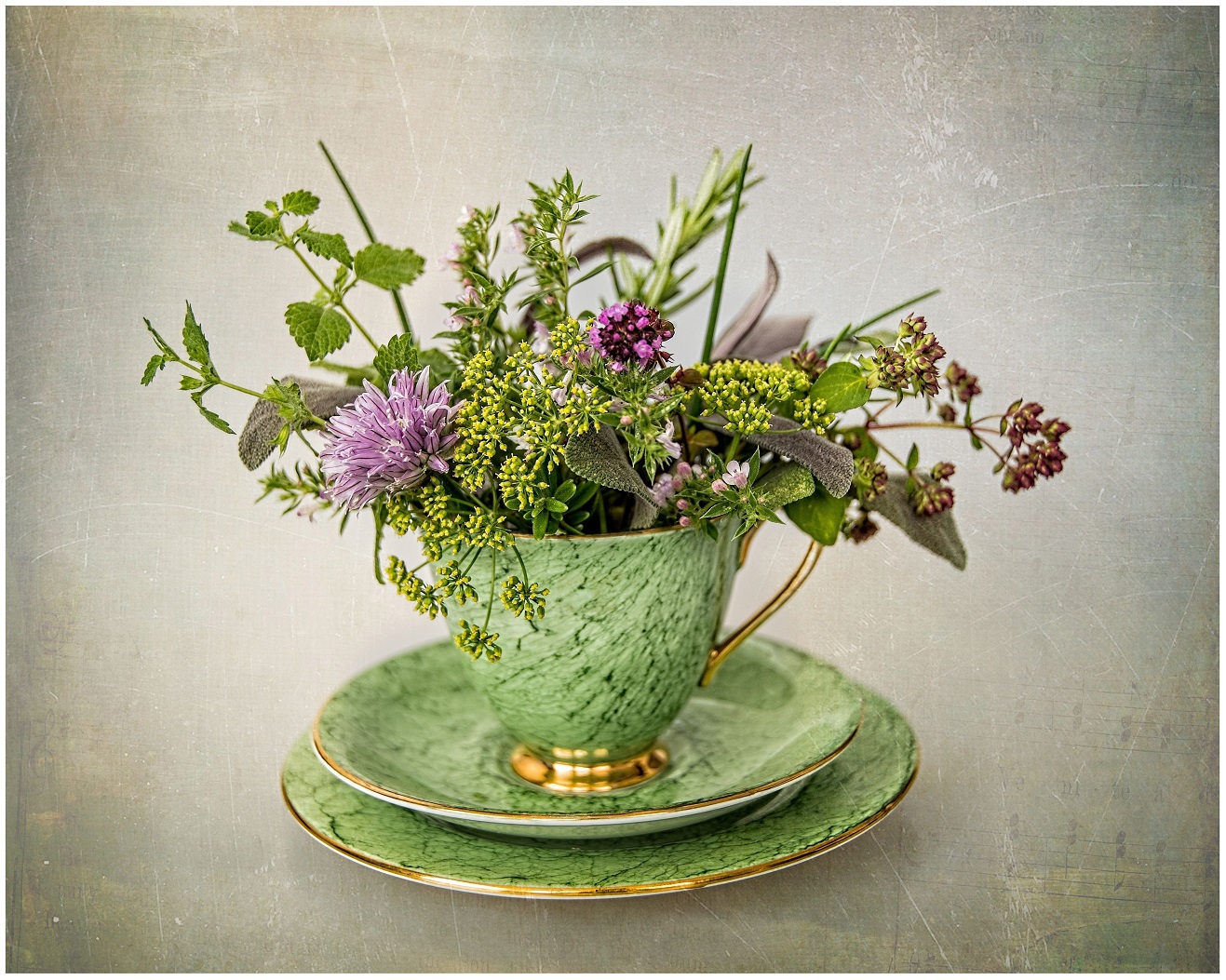 Photographer Alison Moore won the best of three competition this year with the herbal tea...