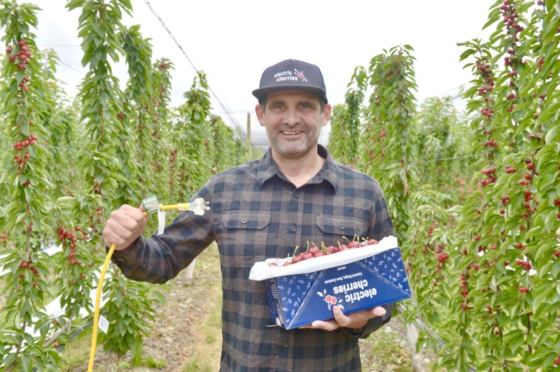 Forest Lodge Orchard co-owner Mike Casey is in the thick of the harvest season on the all...