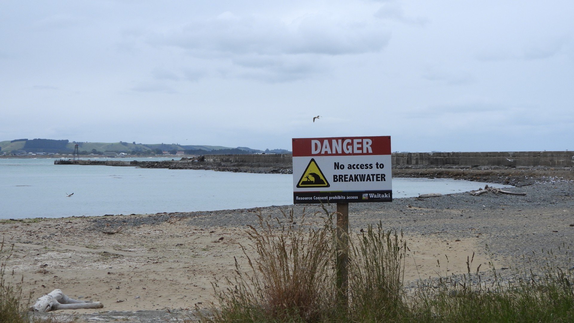 Looking across Sandy Bay to the Oamaru breakwater. Photo: Brendon McMahon