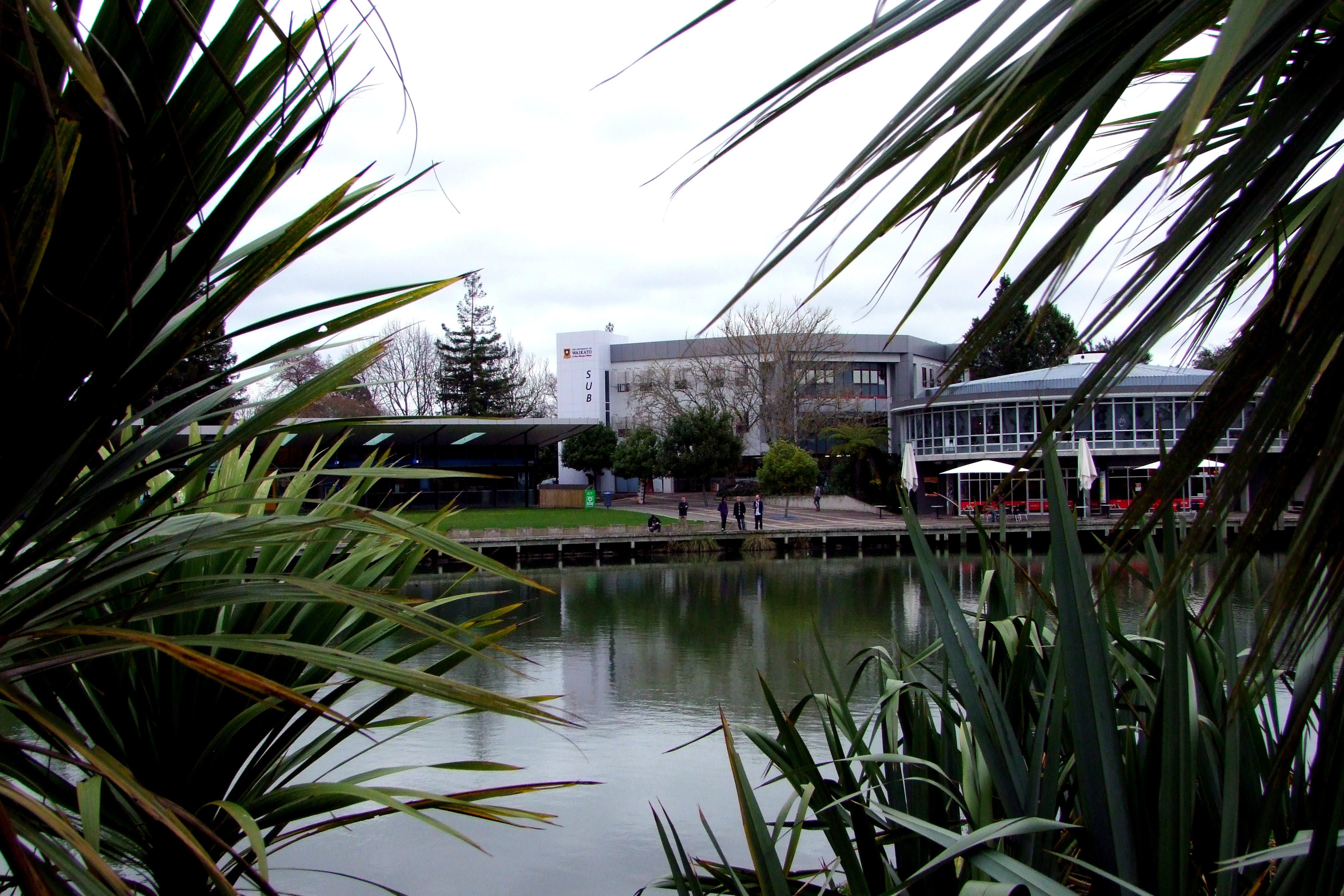 The University of Waikato. PHOTO: WIKIMEDIA COMMONS