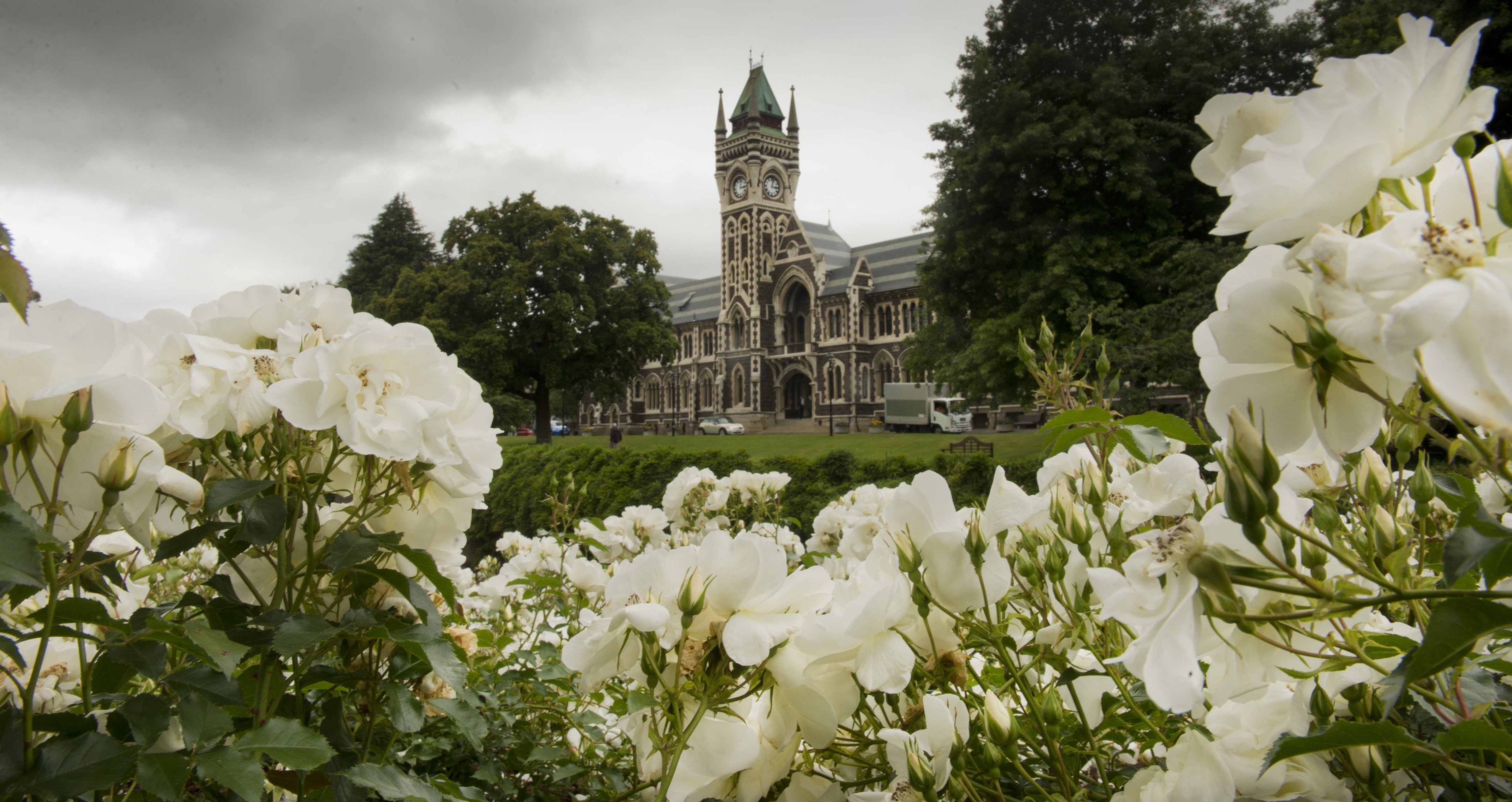 Hundreds of people will graduate from the University of Otago in two ceremonies today. PHOTO:...