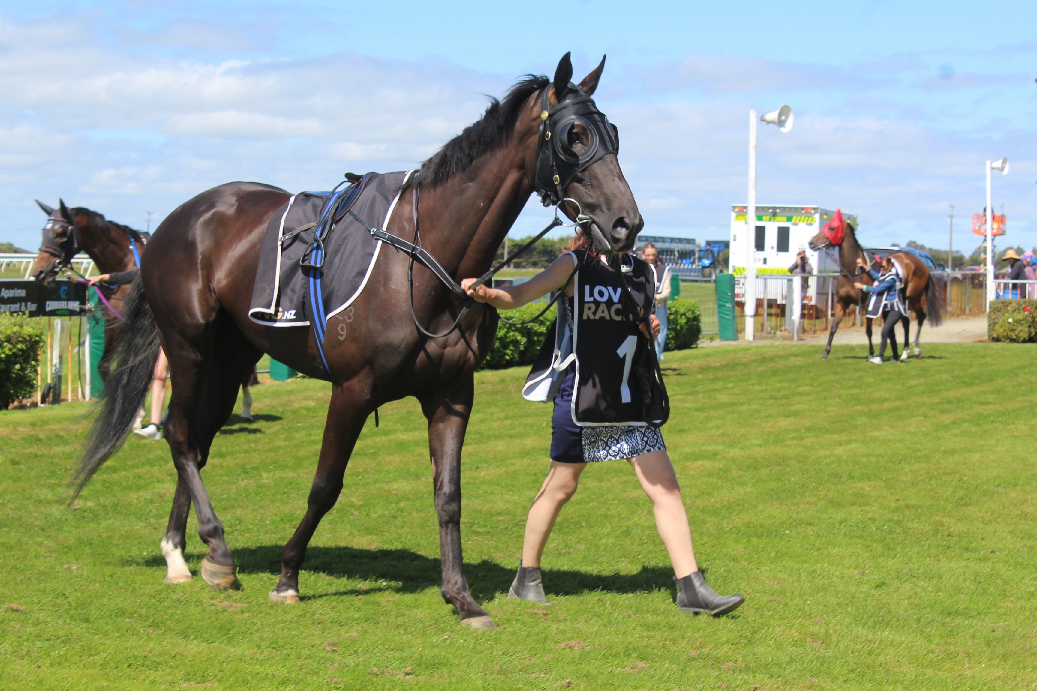 Locally trained Vamos, the winner of the last race of the day at the Riverton New Year’s Day...