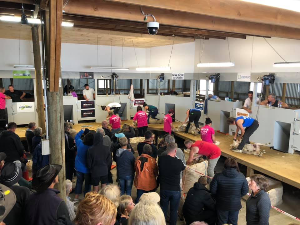 The 2019 Shear for Life event. Photo: SHEAR for LIFE / Facebook