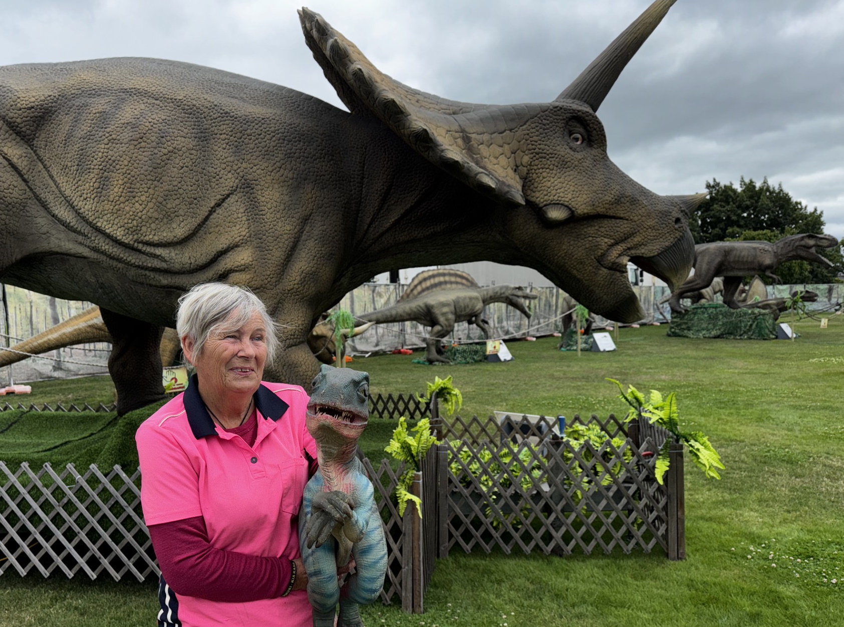 The Amazing Dinosaur Discovery media liaison Lois Tomuri in Ashburton holds Blue the baby raptor...