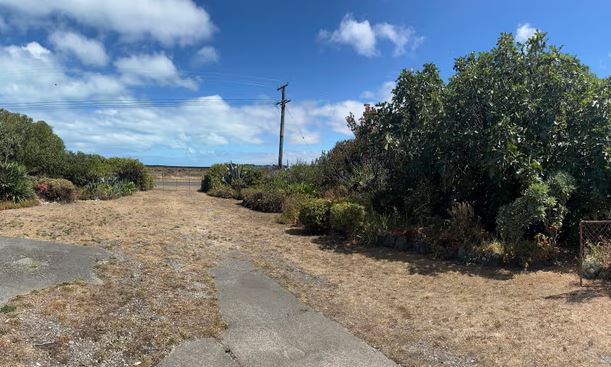 Leisa Elliott’s garden in Birdlings Flat. Photo: Leisa Elliott