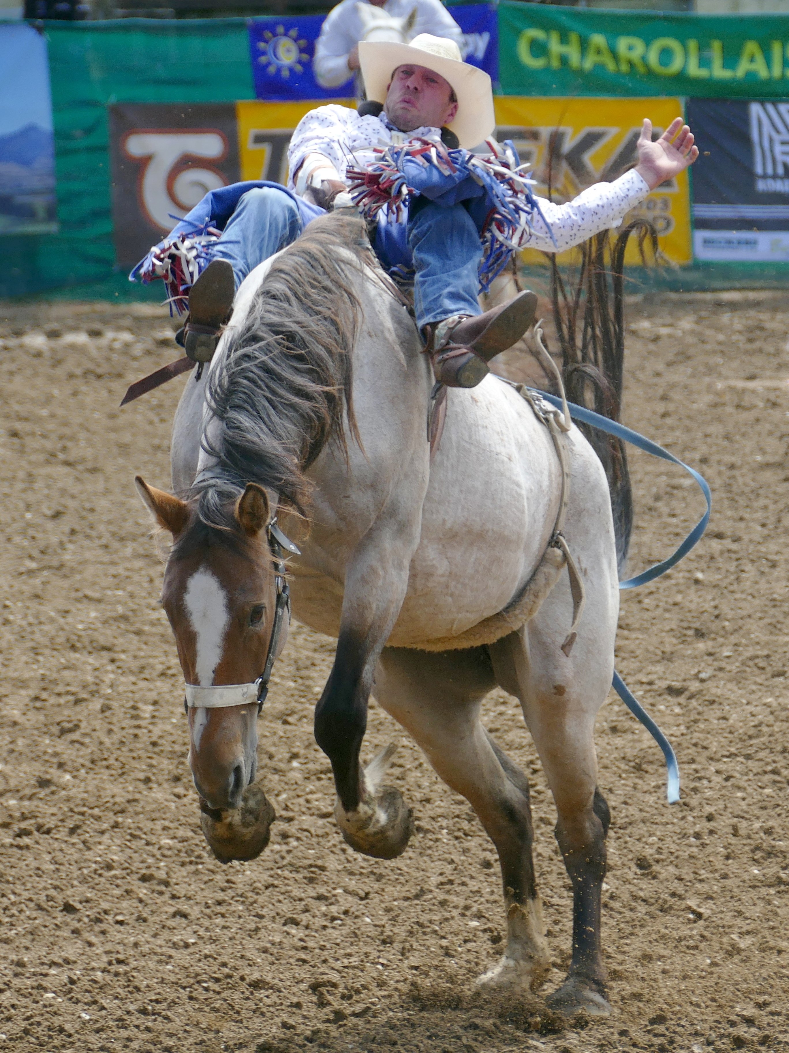 Matt Vermunt, of Invercargill, grits his teeth as he competes in the open bareback finals of the...