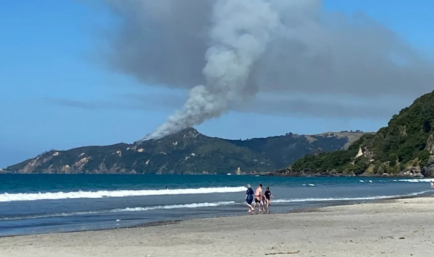 Crews are responding to a scrub fire in Kūaotunu. Photo: Supplied