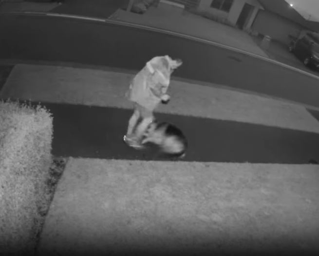 The footage shows the man kicking the dog several times. Photo: Supplied