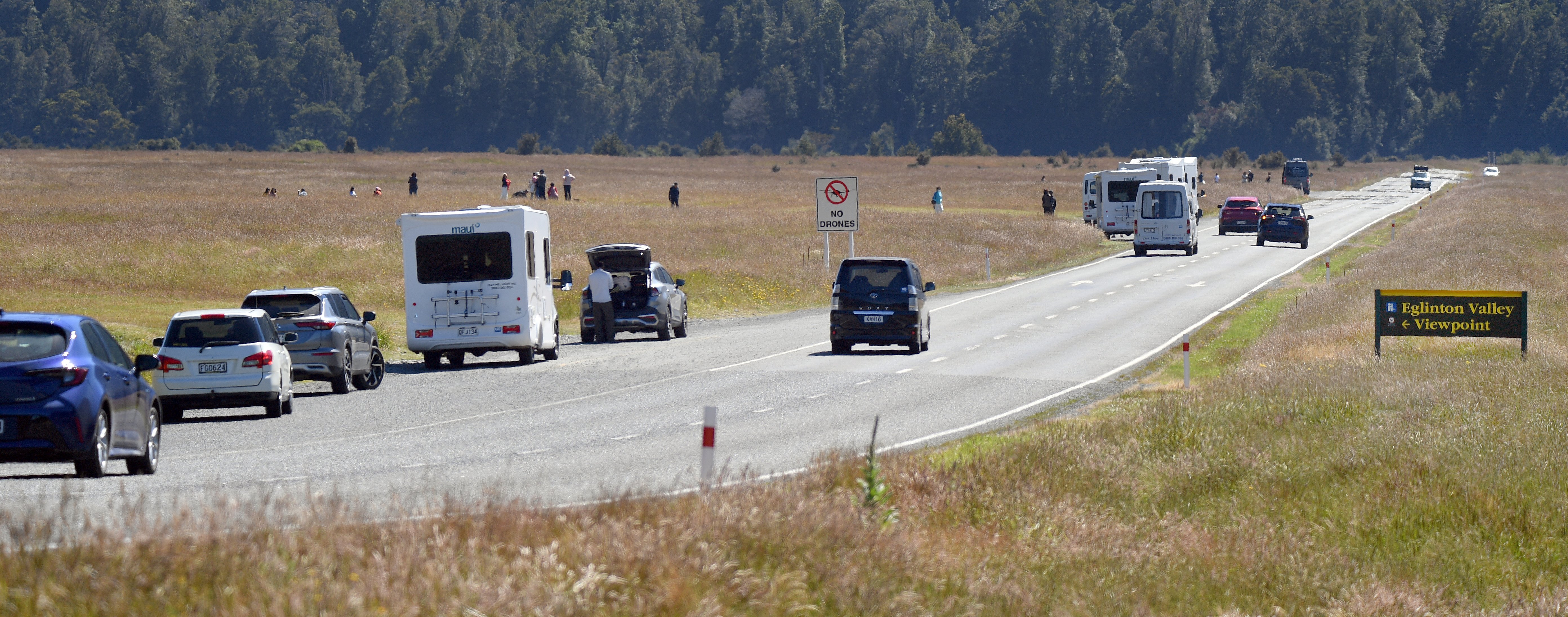 Drivers pull over to admire the views in the Eglinton valley on the notorious Milford Rd. PHOTO:...