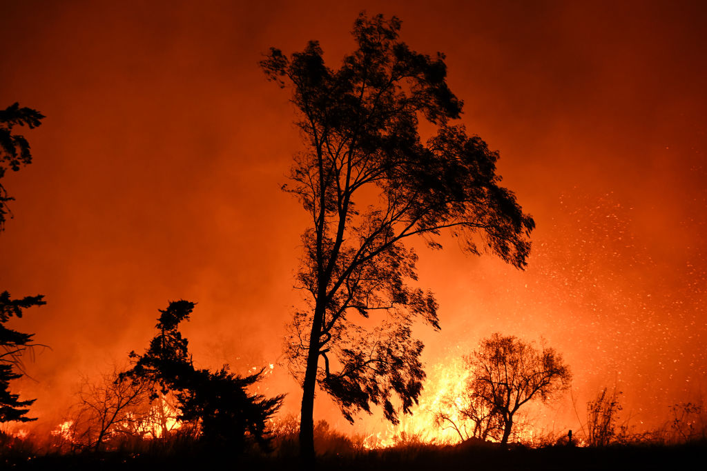 New Zealand's wildfire risk may increase in coming years, according to climate experts. Photo:...