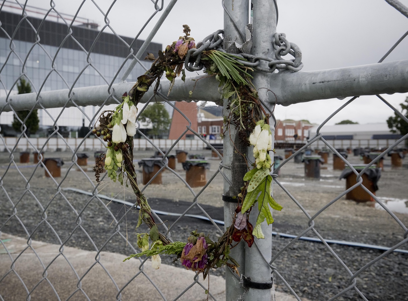 The deserted Dunedin hospital inpatient site in Cumberland St. Photo: Gerard O'Brien