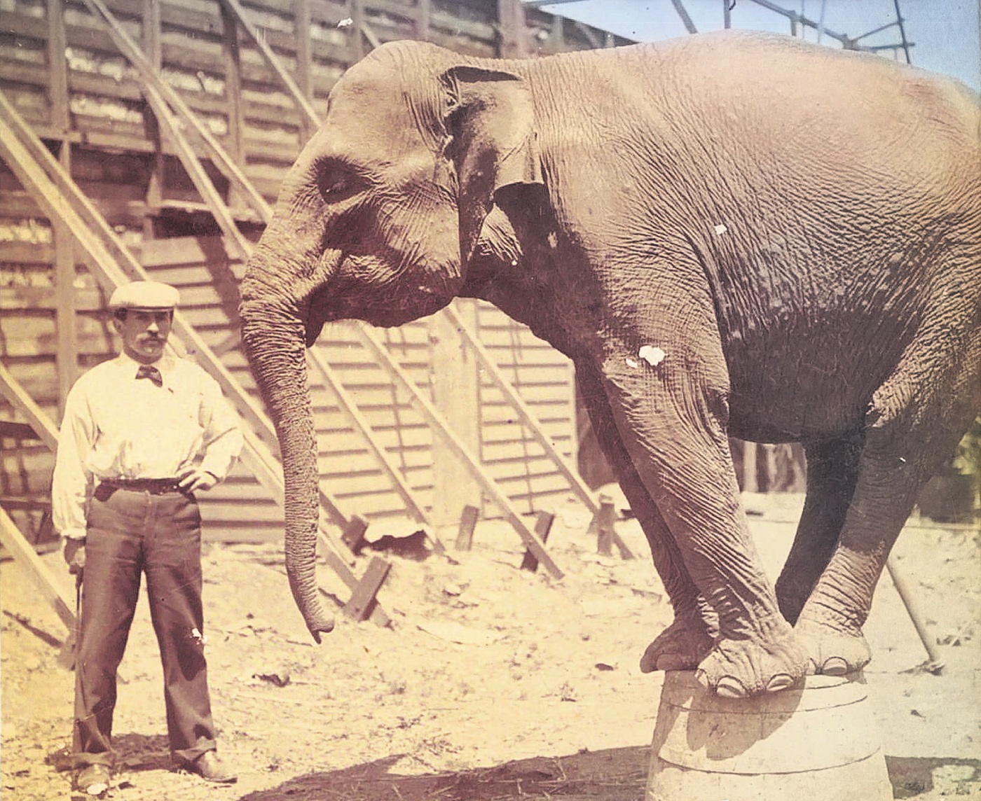 An undated photograph of Jean Souquet with an elephant demonstrating a circus show act. Photo:...