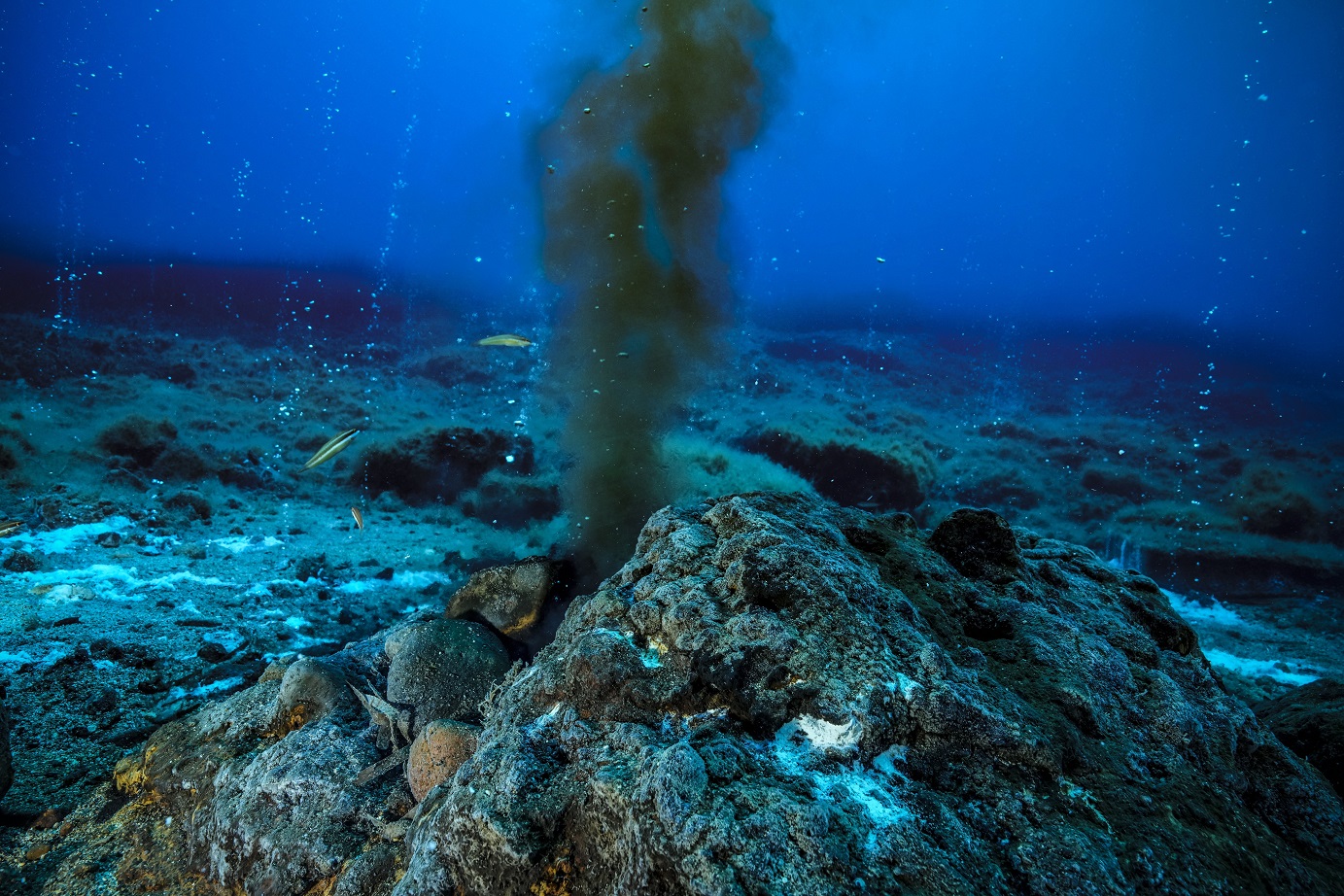 Some researchers think that life itself began around deep ocean vents, protected from the scourge...