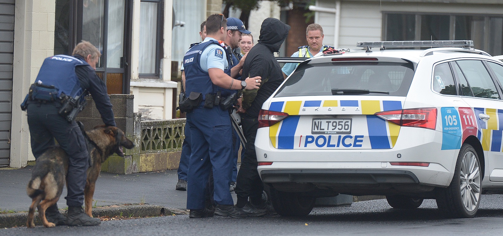 Police take a man into custody in Helena St, South Dunedin, after he fled officers in an...