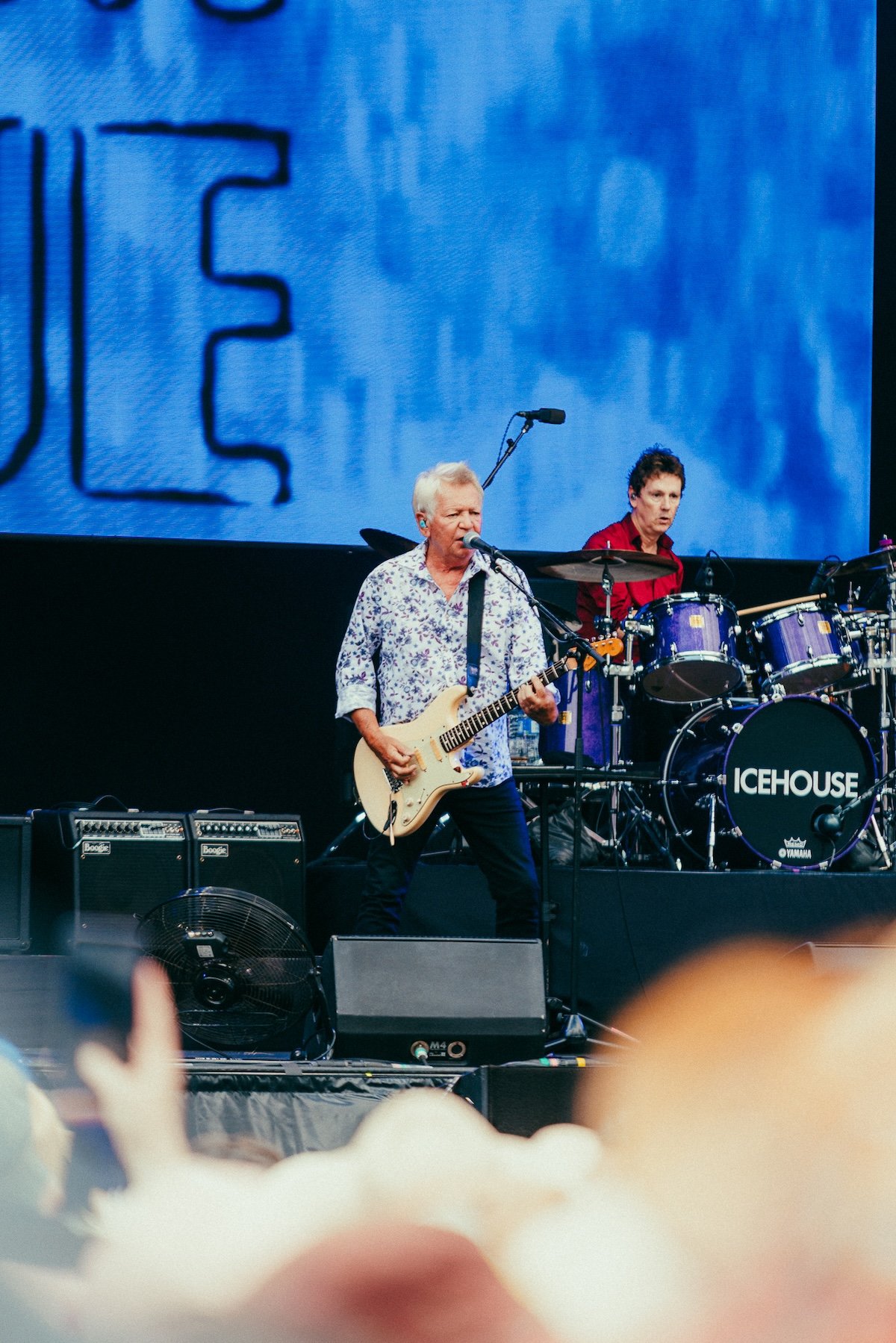 The performers included, among others, Icehouse with frontman Iva Davies.