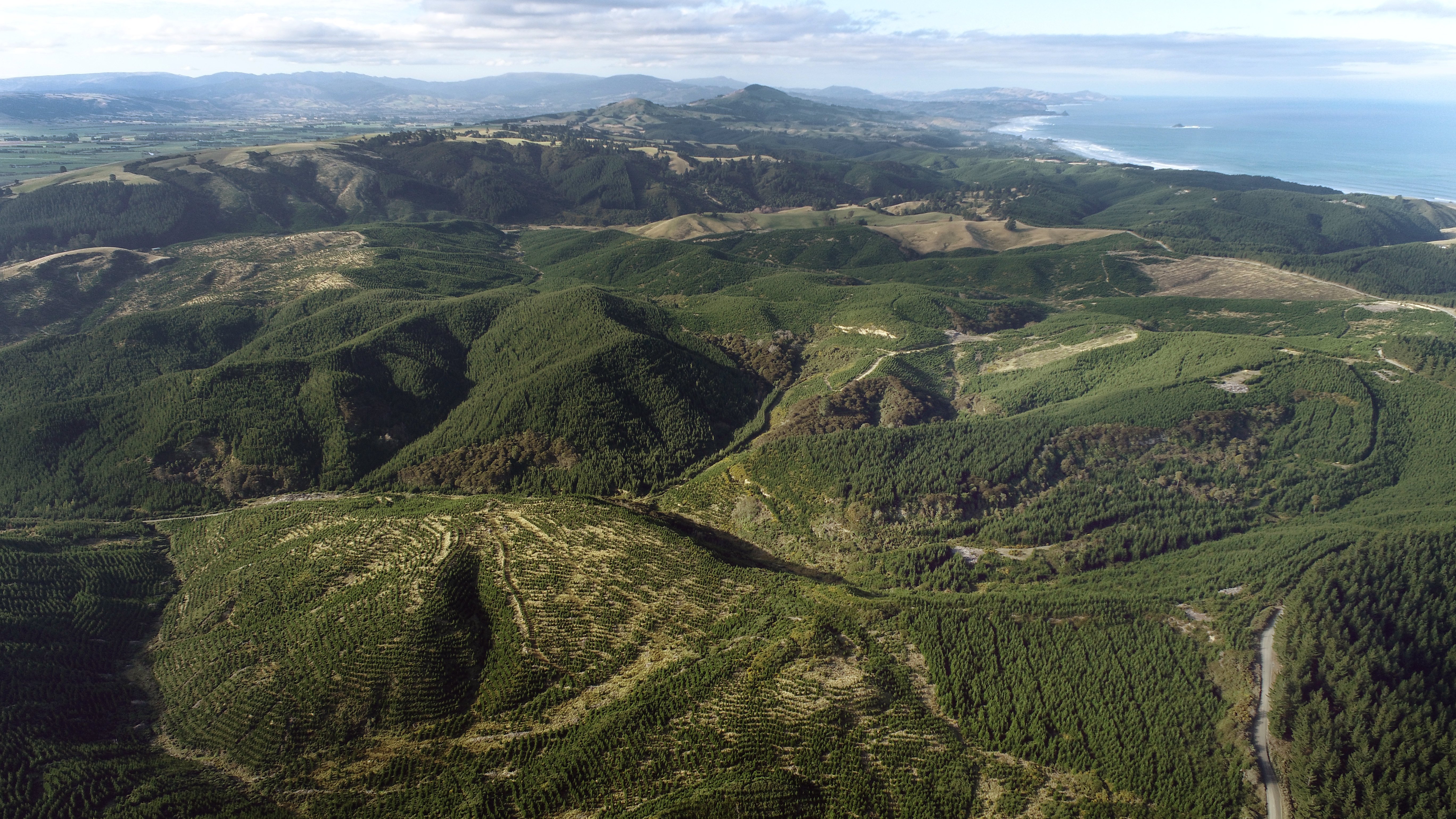 The proposed Smooth Hill site looking north towards Dunedin. PHOTO: STEPHEN JAQUIERY