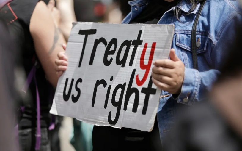 A sign held during a hīkoi protesting the bill last November. Photo: RNZ