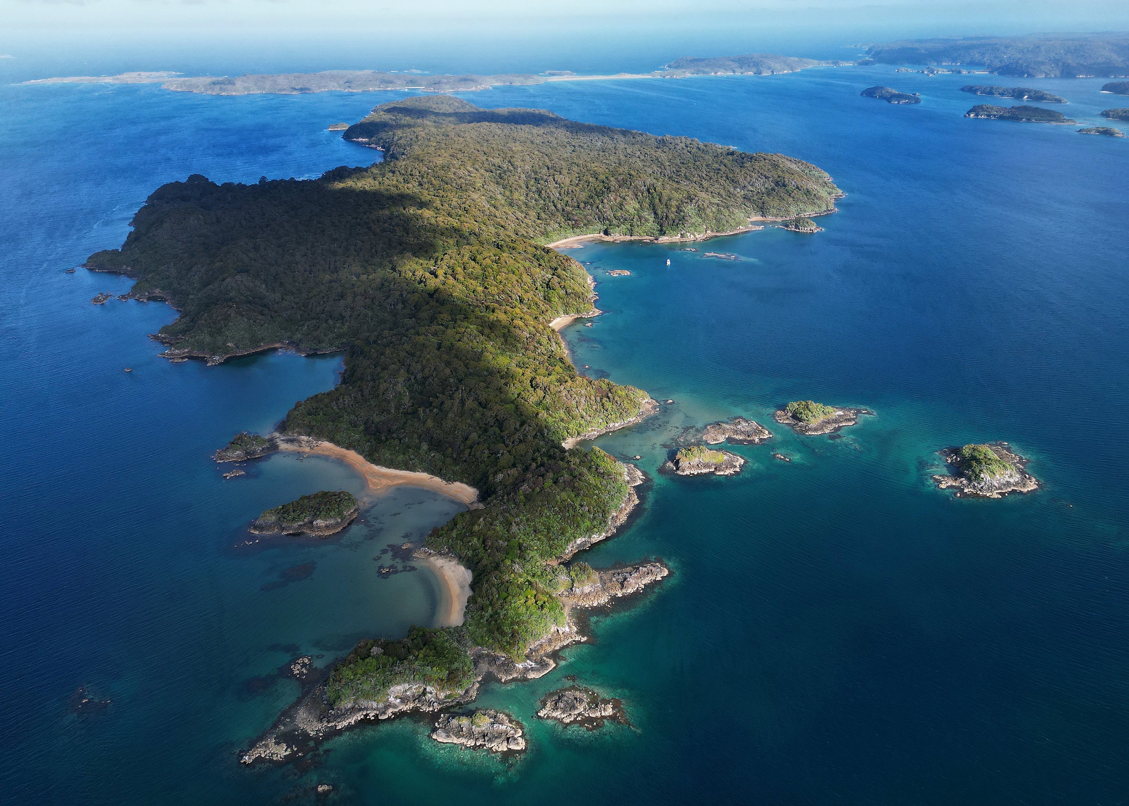 Ulva Island. PHOTO: STEPHEN JAQUIERY