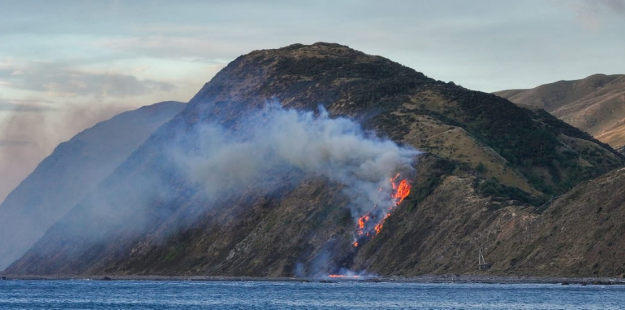 The vegetation fire in Makara on Sunday. Photo: Supplied / Facebook / David Jensen