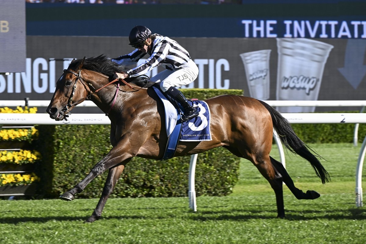 Belclare will contest tomorrow’s Otaki-Maori WFA Classic (1600m) at Ellerslie. PHOTO:...