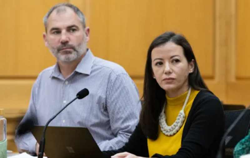 MPs Glen Bennett (Labour) and Lan Pham (Green) in Select Committee. Photo: VNP / Phil Smith