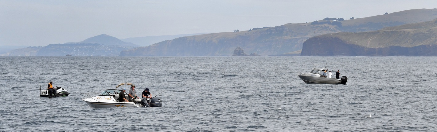 Cod awful . . . Where are the life jackets? PHOTO: STEPHEN JAQUIERY