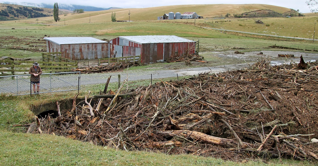 Roger Cotton was at a loss as to where the tide of timber debris had come from. Photo: Nick Brook