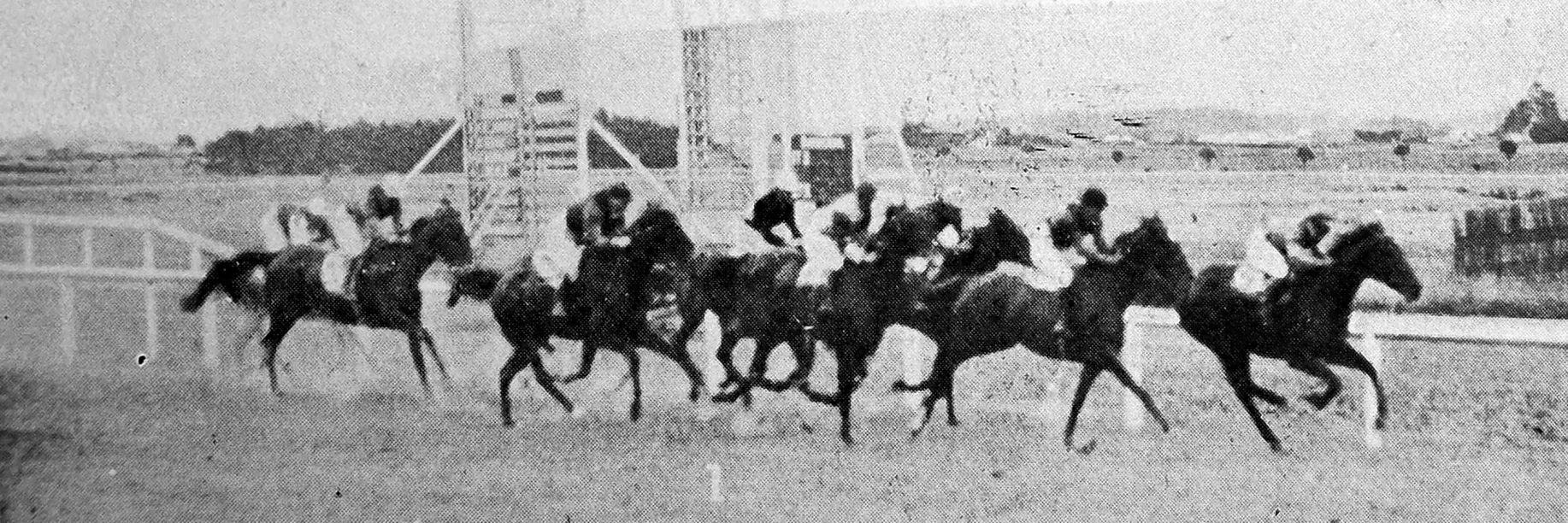 Start of the Dunedin Cup race at Wingatui on February 12, 1925. — Otago Witness, 17.2.1925