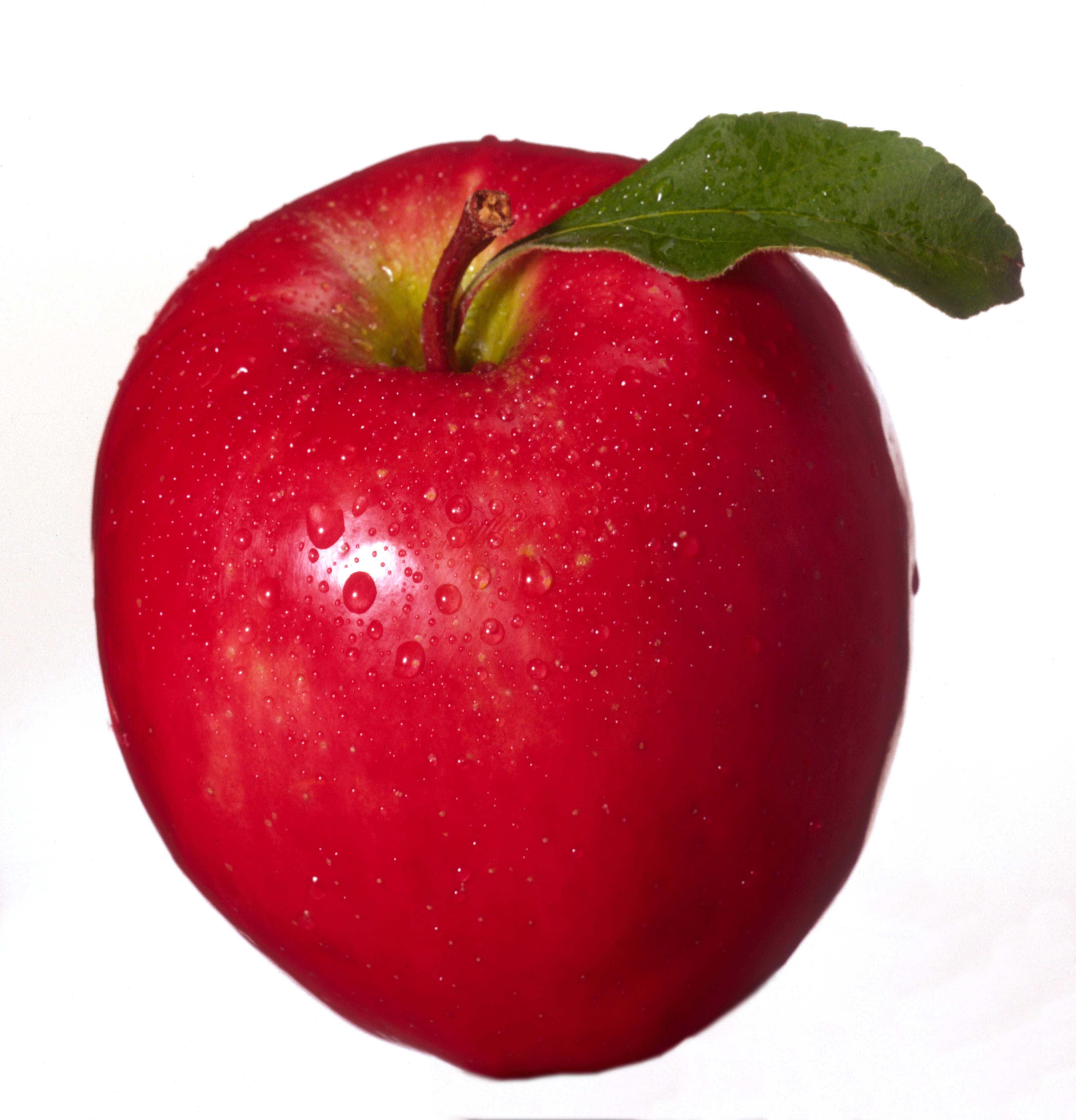 The fruit of the Bennett orchard abounds. Photo: Getty Images