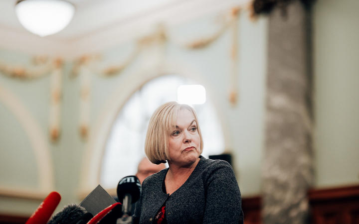 National leader Judith Collins Photo: RNZ