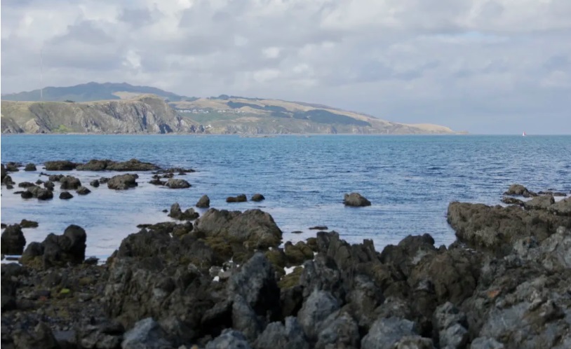 Plimmerton coastline where a jetskier was last seen before they didn't return home on Monday...