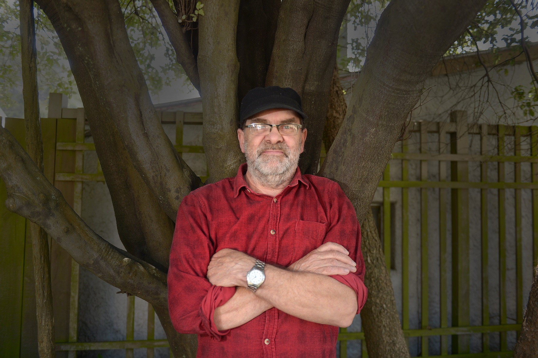 Robert Scott has been working on how to depict trees in his latest works. Photo: Gregor Richardson