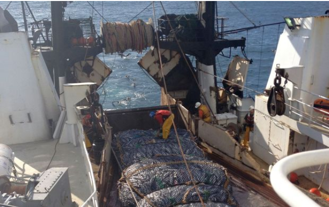 A Sealord fishing boat at sea. Photo: RNZ