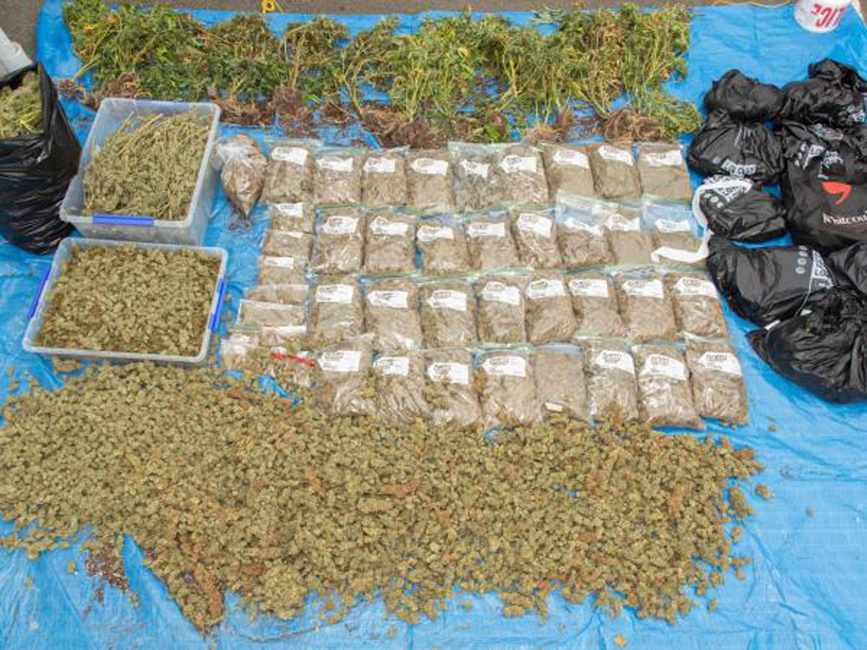 Drugs seized in a recent operation by police in Southland. Photos: NZ Police