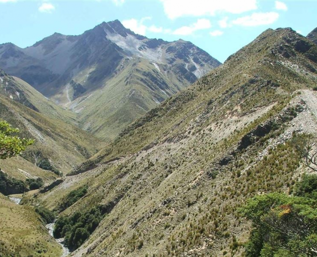 The Timaru River Track, near Lake Hāwea. Photo: Doc