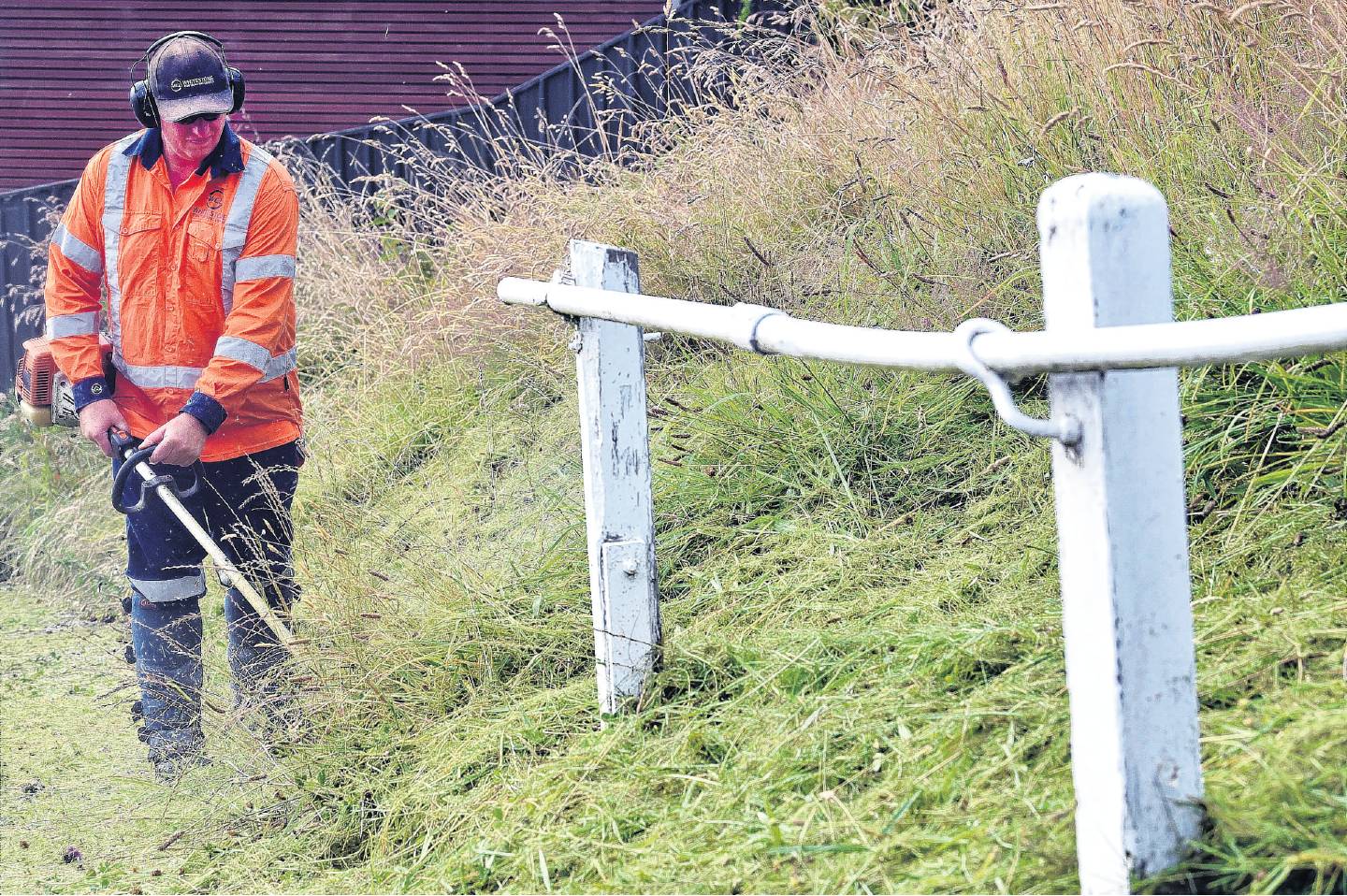 A Dunedin City Council contractor uses a weed whacker to trim the overgrown verge in Canongate...