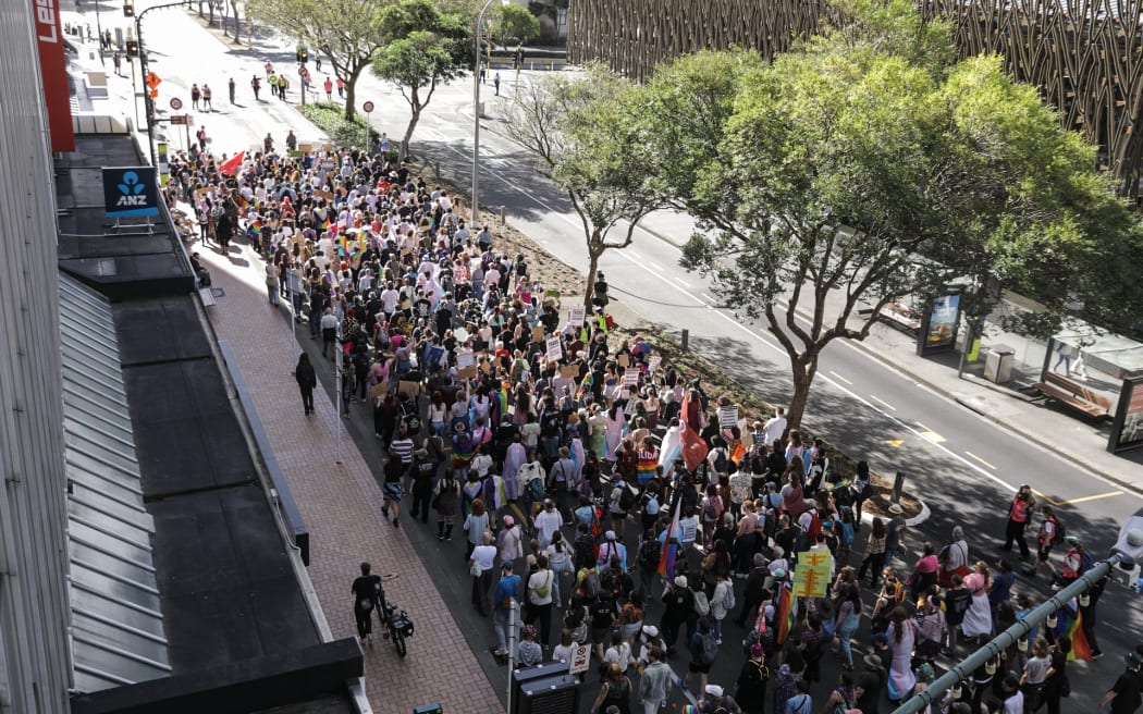 Hundreds of people marched to Parliament. Photo: RNZ/Nate Mckinnon