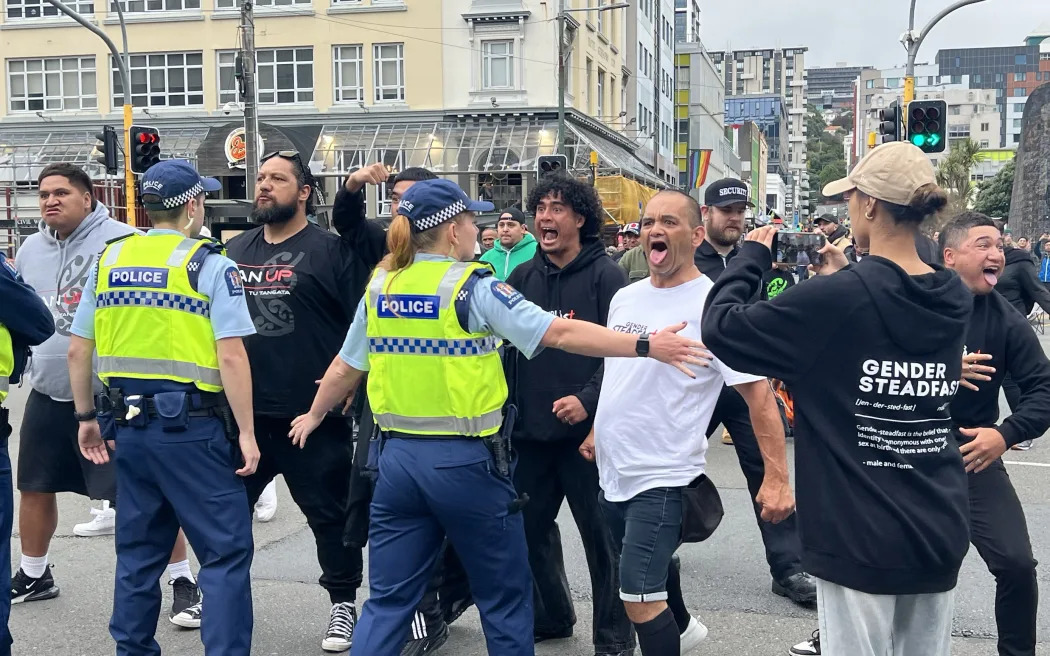 Protesters at the Wellington Pride Parade. Photo: RNZ