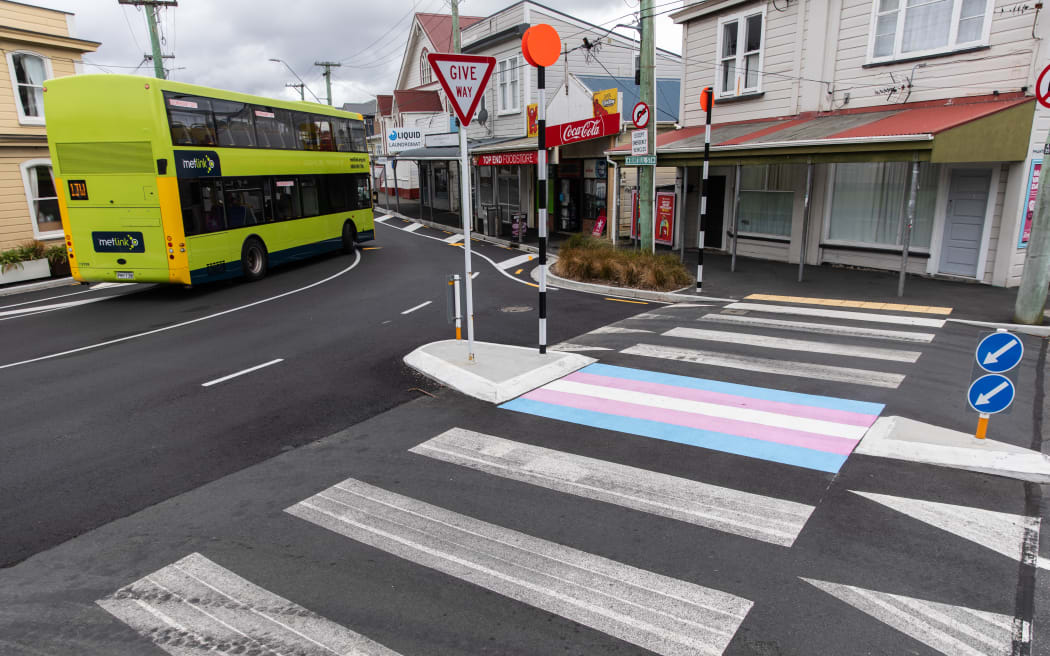 The repainted crossing in Berhampore. Photo: RNZ 