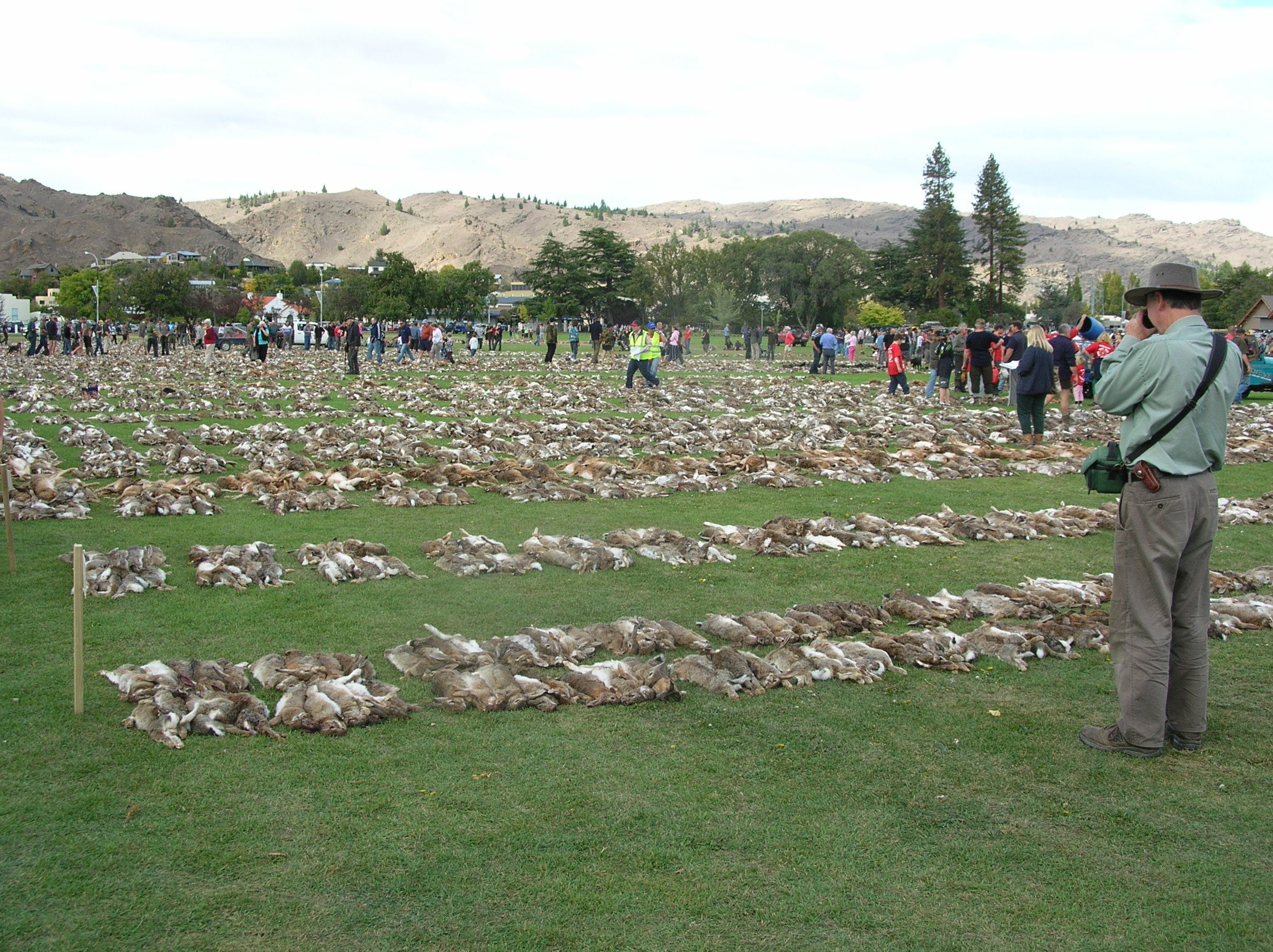 Thousands of dead rabbits line Pioneer Park in Alexandra, following the 19th annual Great Easter...