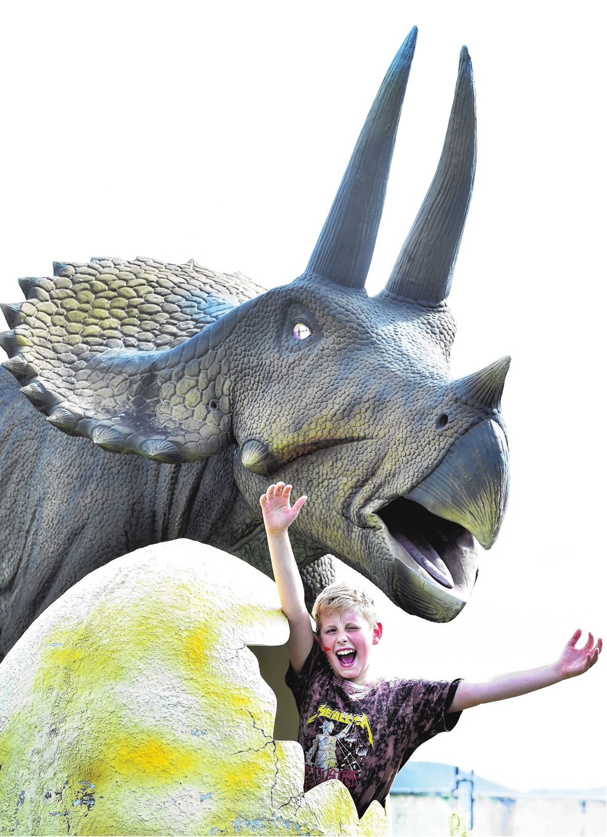 Sid Farrell, 11, of Dunedin, checks out a Triceratops dinosaur at The Amazing Dinosaur Discovery...